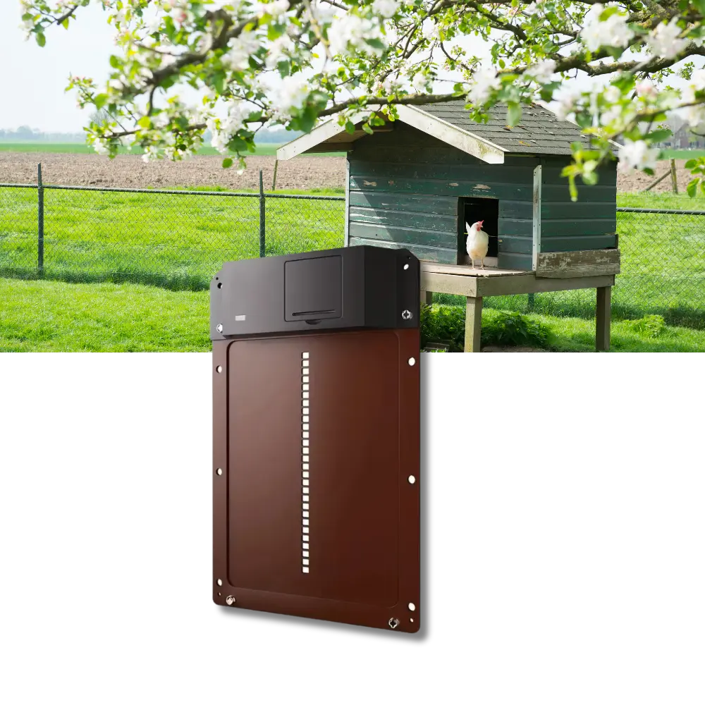 Automatic Chicken Coop Door - Zoozto