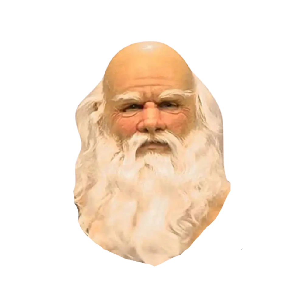 Realistic Santa Face Mask -Mask - Zoozto