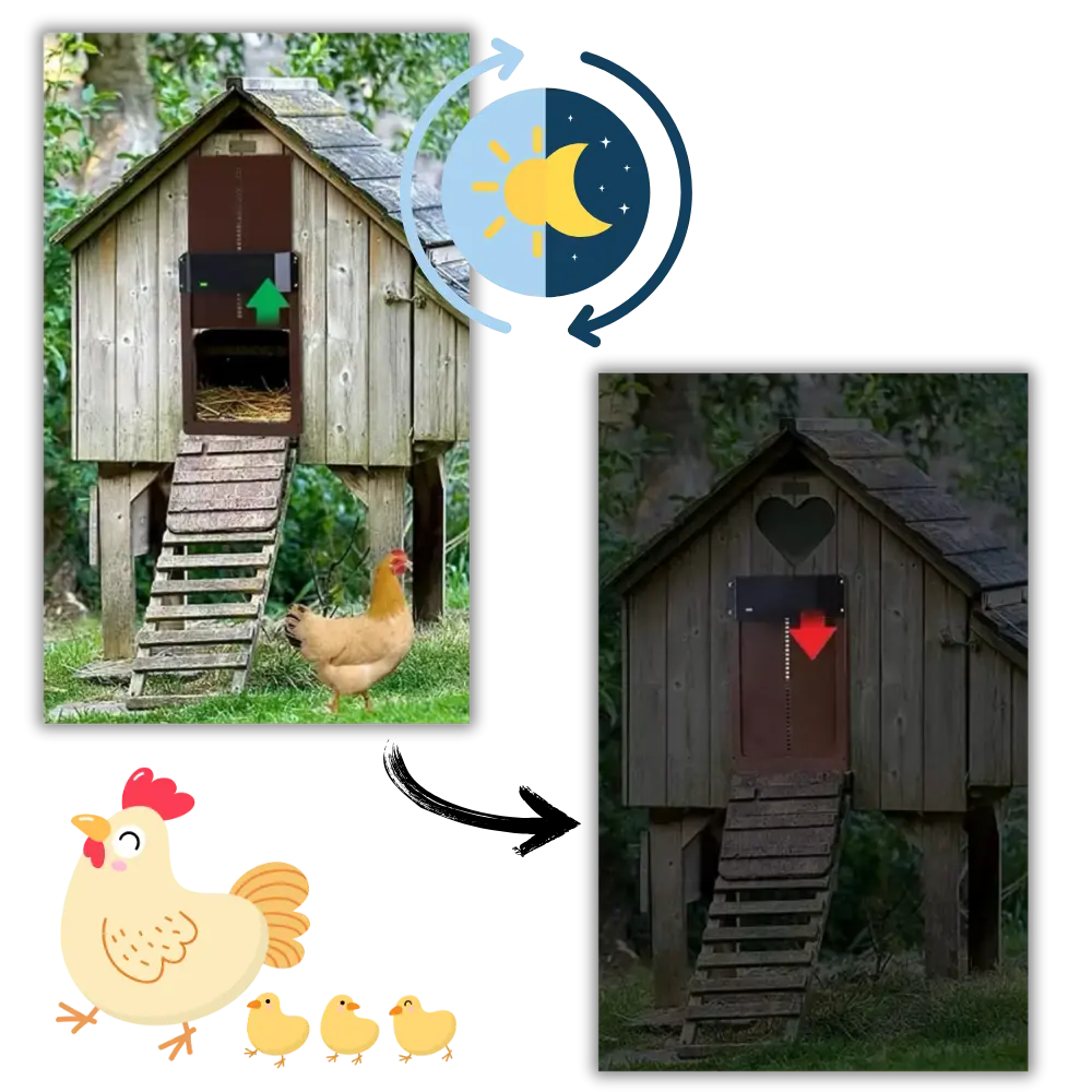 Automatic Chicken Coop Door - Zoozto
