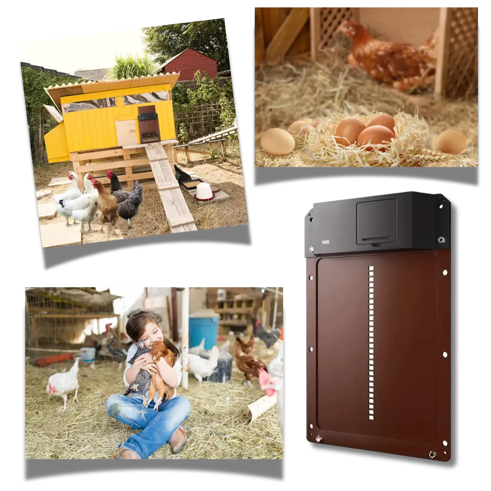 Automatic Chicken Coop Door - Zoozto