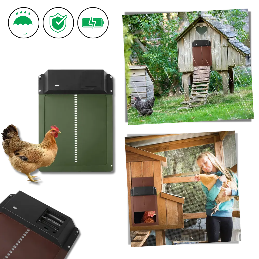 Automatic Chicken Coop Door - Zoozto