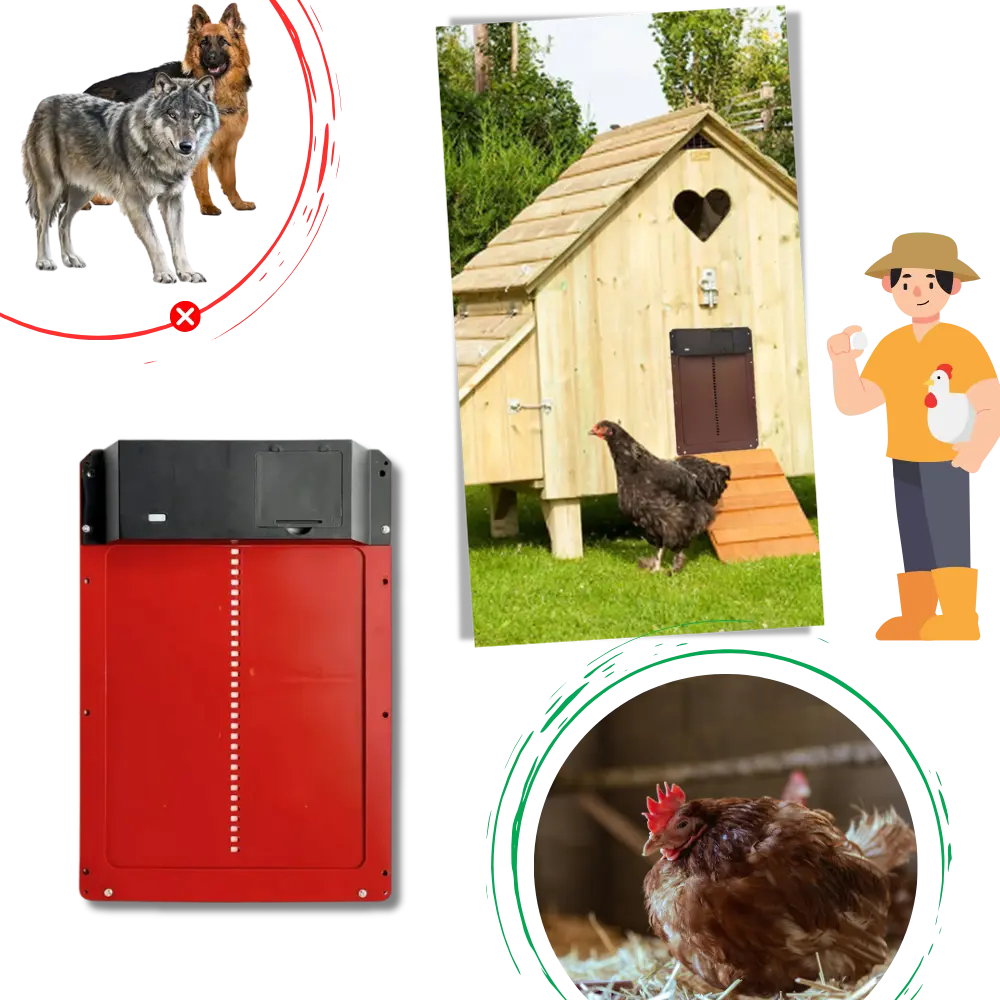 Automatic Chicken Coop Door - Zoozto