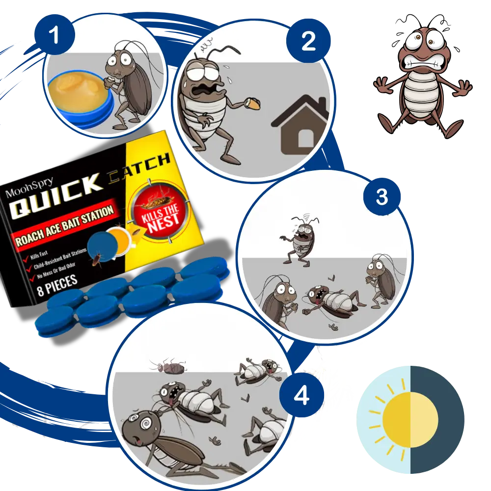 Odorless Cockroach Traps - Zoozto