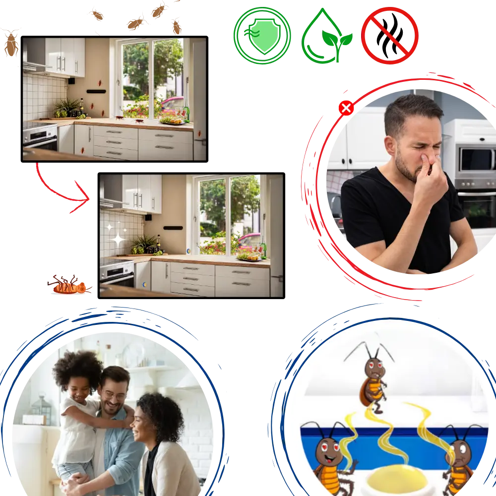 Odorless Cockroach Traps - Zoozto