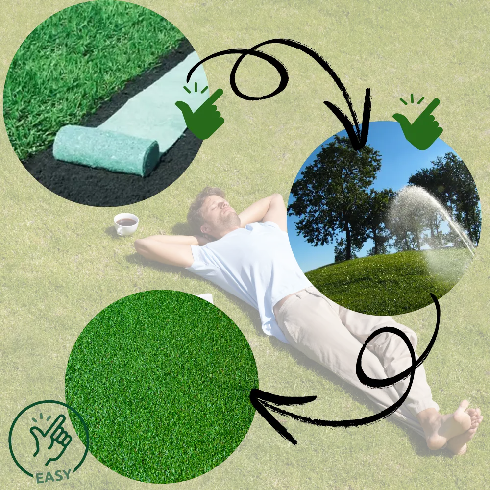 Quick Fix Grass Seed Mat Roll – Rapid Lawn Solution - Zoozto
