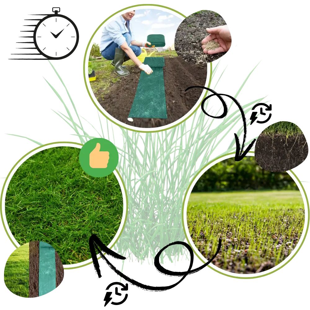 Quick Fix Grass Seed Mat Roll – Rapid Lawn Solution - Zoozto