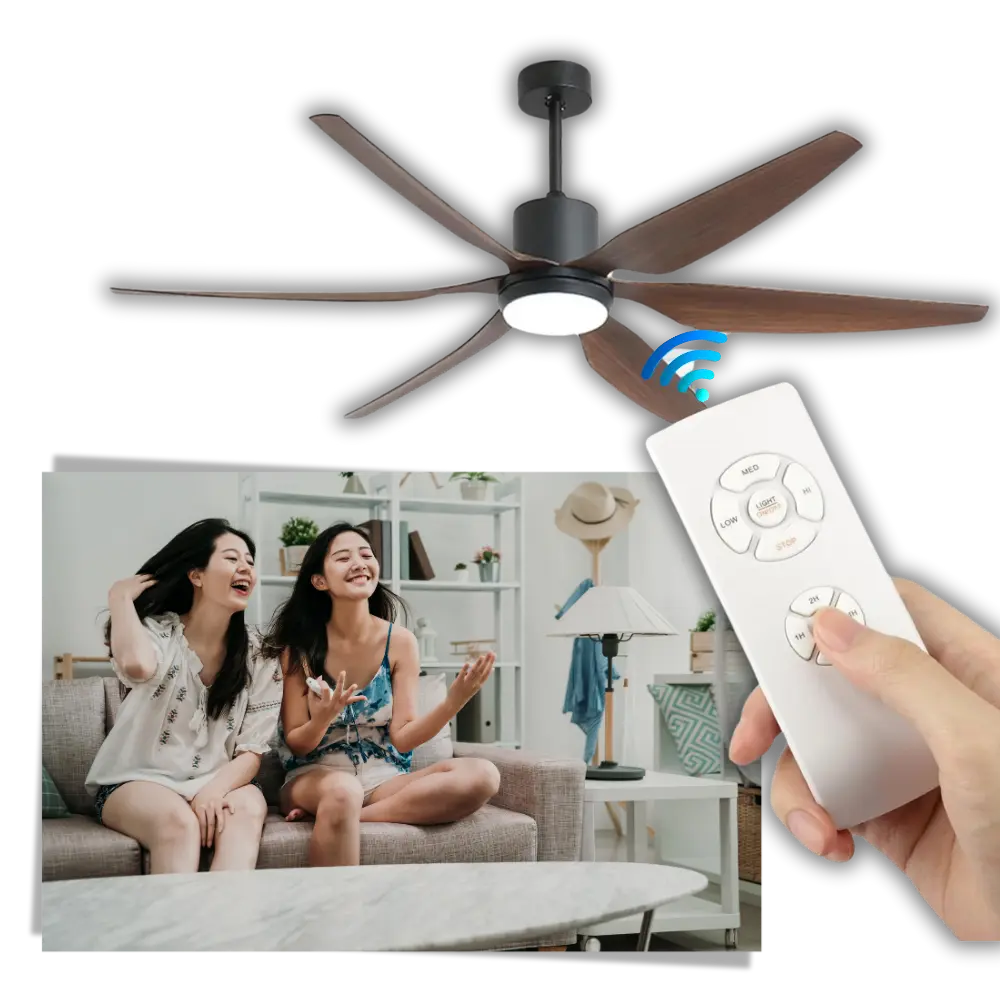 Universal Ceiling Fan Remote Control - Zoozto