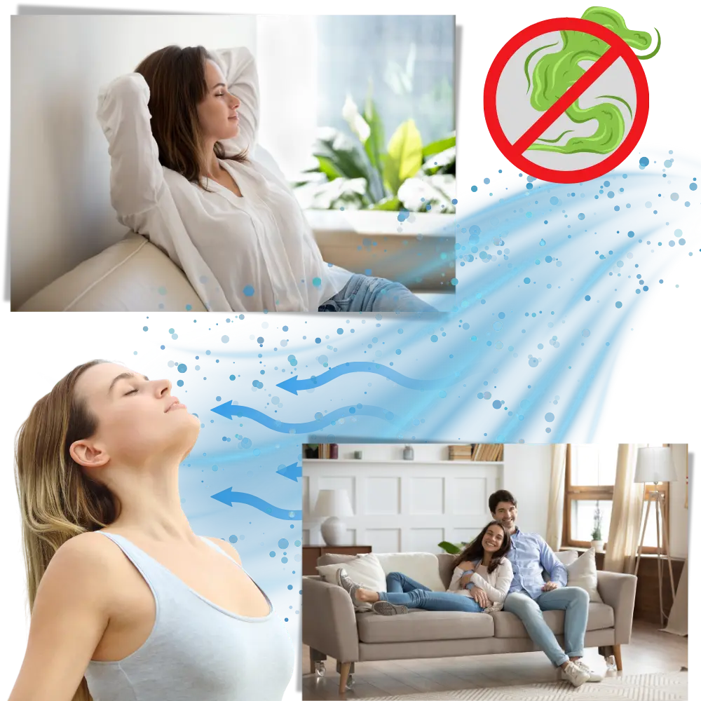 UV Light Sanitizer – Multi-Surface Sterilizer - Zoozto